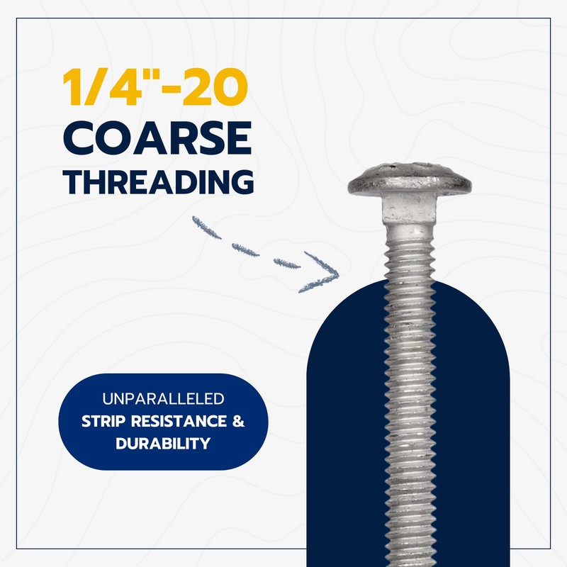 1/4" x 1-1/2" (100 Pack) Galvanized Carriage Bolt Kit Grade