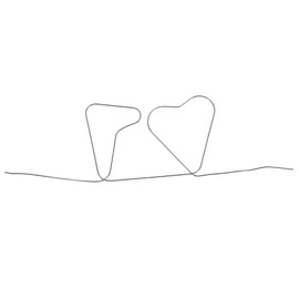 BESTonZON 1 x prediction wire, unique gift idea, fascinating toy, wizard props, trick toy, high temperature memory wire, magic trick toy, silver