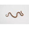 Unbranded Eastern Brown Snake, Australia, Rubber , Model Toy Realistic3