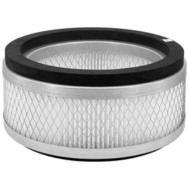 HOAXCINN H13 Replacement Air Filter Compatible with Austin HM100 Air Purifier, 3 In 1, H13 High-Efficiency Activated Carbon Filter, 1-pcs