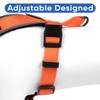 Pawtitas Pet Accessories Adjustable Padded Reflective Dog Harness, Step in