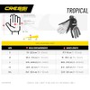 Cressi Tropical 2mm, black/orange, XXL