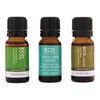 ECO. Modern Essentials Fight the Flu Essential Oil Trio, 3