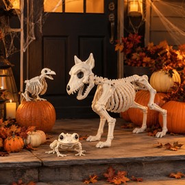 Poseable Animal Skeleton Set for Halloween Decor – Realistic Dog, Crow & Frog Props for Indoor Outdoor Displays