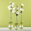 Two's Company 7355 Sleek & Chic Set of 3 Tear