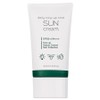 Pretty Daily Tone-Up Cica Sun Cream SPF50+ PA+++, 50ml, 1 piece / 프레티 데일리 톤업 시카 선크림 SPF50+ PA+++, 50ml, 1개