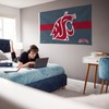 Rico Industries Bandera a rayas de Washington State Cougars –