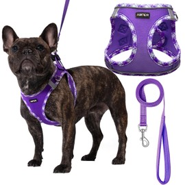 AMTOR Small Dog Harness with Leash Set, No Escape Easy Walk Puppy Harnesses for Training Walking, Step-in Reflective Soft Dogs Vest for XS S Medium Extra-Small Large Sized Dog(Purple,XL)