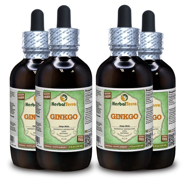 Ginkgo (Ginkgo Biloba) Glycerite, Organic Dried Leaves and Nuts Alcohol-Free Liquid Extract (Brand Name: HerbalTerra, Proudly Made in USA) 4x4 fl.oz (4x120 ml)