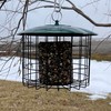 Backyard Essentials Squirrel Defeater Seed or Suet Log Cage Feeder