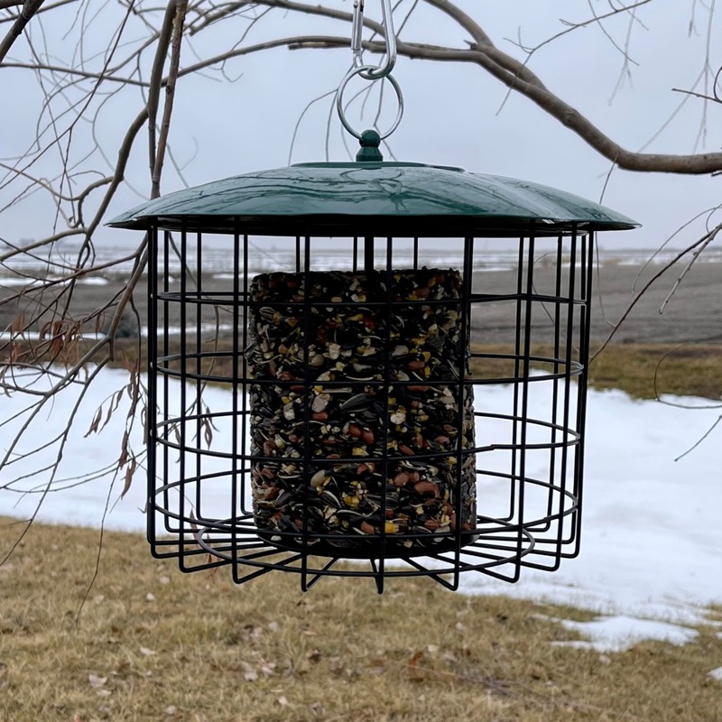 Backyard Essentials Squirrel Defeater Seed or Suet Log Cage Feeder
