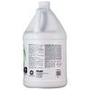 Encapsulating Carpet Extraction Cleaner concentrate by Nilodor, 1 gallon (128SBN