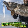 LUCKYFISHING Paddle Tail Swimbaits 16 PCS Fishing Lures Soft Plastic