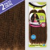 Janet Collection Braids Nala Tress 2X Afro Kinky Bulk 48"