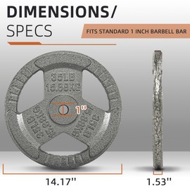 Fitvids Cast Iron 1-Inch Standard Weight Plate for Strength Training & Weightlifting, Multiple Weights Available, 35LB (Pair)