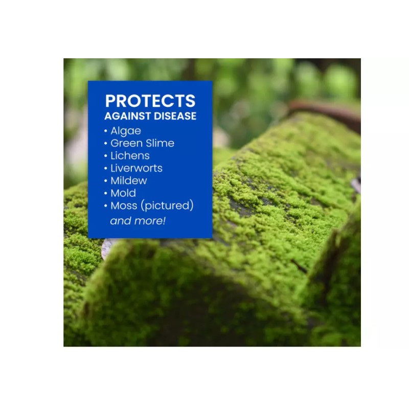 BioAdvanced 704710B Moss and Algae Killer Ready-To-Spray