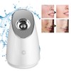 100ml Facial Steamer Nano Steam SPA Spray Moisturizer Face Sprayer