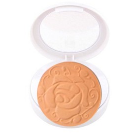 Need Color Cheek Touch Blusher 5g Color Cosmetics No. 5 / 니드칼라 볼터치 블러셔 5g 색조화장품 5호