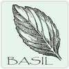 StickerTalk Basil Magnet, 4 inches by 4 inches