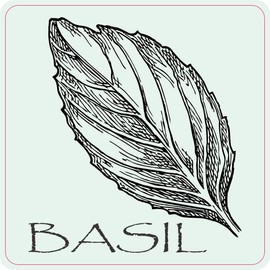 StickerTalk Basil Magnet, 4 inches by 4 inches
