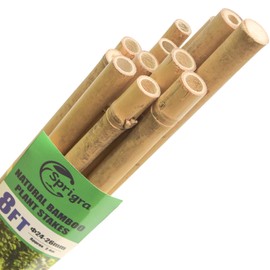 Sprigra Bamboo Stakes 8 Feet, 96 inch Garden Stakes Multi-Purpose, Bamboo Plant Support Stakes for Tomatos, Beans, Cucumbers, Peppers, Potted Trees, Maintain The Plant Posture, Strengthen and Stem