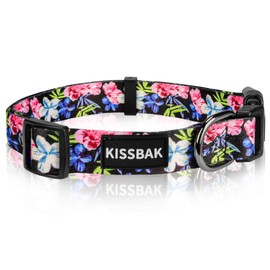 KISSBAK Dog Collar for Small Dogs - Special Design Cute Girl Dog Pet Collar Soft Adjustable Fancy Floral Girl Puppy Dog Collars (XS, Floral Pink)