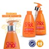 Kit Kolor Shot Tratamiento + Shampoo Rizos Definidos 250 Ml.