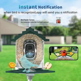Smart Bird Feeder with Camera Solar Powered & AI Bi rd Identification, 2.4Ghz WiFi Bird feeders for Outdoors, Full HD Live Video, Nstant Arrival Alerts - Best Gifts for Bi rd Lovers - Green