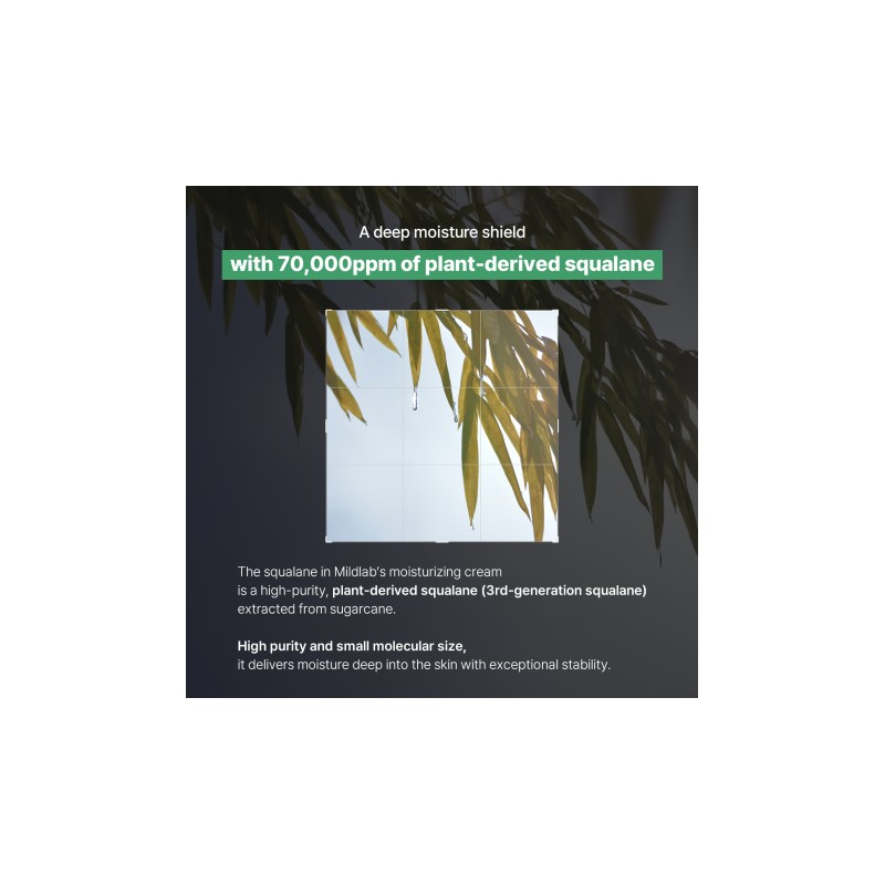 MILDLAB [MILDLAB]Daily Calming Water Cream 80ml