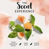 Herbal Essences bio:renew White Grapefruit & Mosa Mint Naked Volume