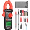 Neoteck Digital Clamp Meter 600A AC, 4000 Counts TRMS Auto-Ranging