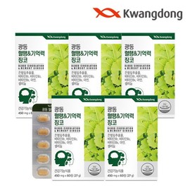 [Guangdong Life Health] Blood circulation &amp; memory improvement Ginkgo 60 tablets, 5 boxes (10 months supply) / Ginkgo leaf extract