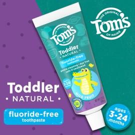 Tom's of Maine Fluoride-Free Toddler Training Toothpaste, Mild Fruit, 1.75 oz. 3-Pack (Packaging May Vary) | Tom's of Maine