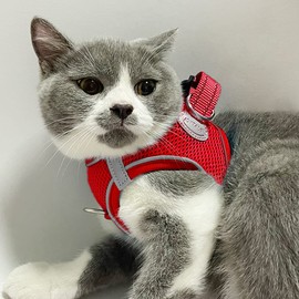 Joytale Small Dog Harness, Breathable Mesh Step-in Vest Harness, Reflective Soft Padded Harnesses for Cats and Puppies Dogs, Red, XXXS