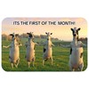Its The First Of The Month Dancing Cows Tiktoc Meme
