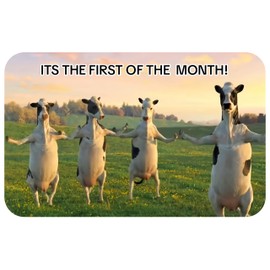 Its The First Of The Month Dancing Cows Tiktoc Meme Sticker/Decal