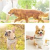Dog Leash Dog Slip Leash Reflective Rope Lead Anti-Pull Lead