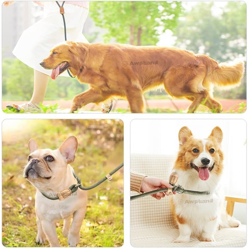 Dog Leash Dog Slip Leash Reflective Rope Lead Anti-Pull Lead