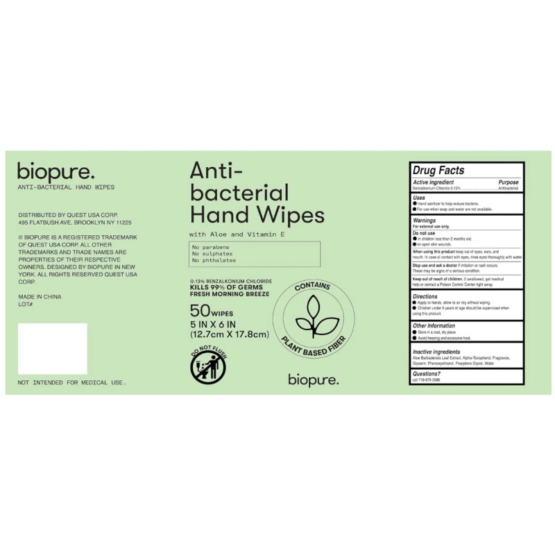 Biopure 2 Antibacterial Hand Wipes Fresh Morning Breeze 100 CT