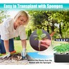 Aooccder Replacement for Aerogarden Pods Hydroponic Accessories, Grow Anything Seed