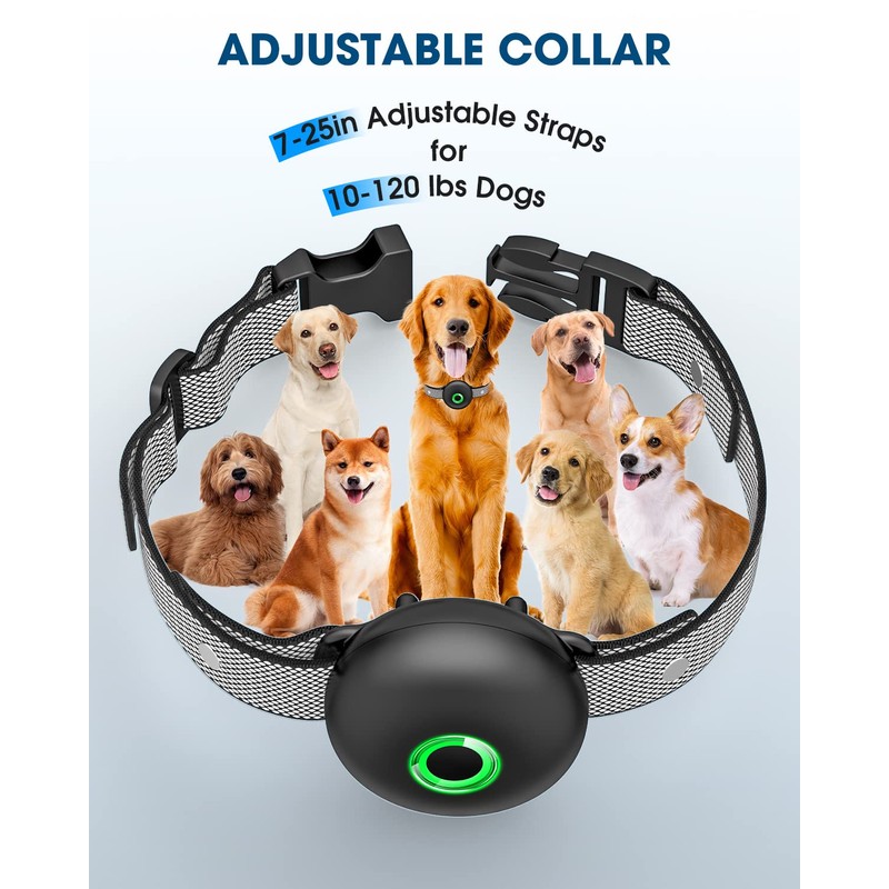 Dog Shock Collar Training with Remote, for Large Medium Small