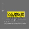 VISX Old Driver Please Be Patient Sticker Gas Car Decal