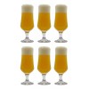 Baum Brothers Set 6 Vasos Copas Cerveceros De Vidrio 340