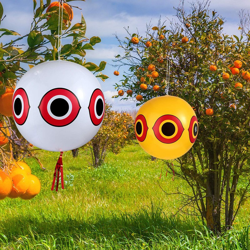 3PCS Bird Repellent Balloons Scary Eyes Balloons with Eye Sticker