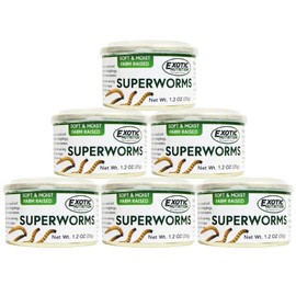 Canned Superworms 1.2 oz (6 Pack) - Healthy High Protein Insect Treat - Hedgehogs, Sugar Gliders, Reptiles, Wild Birds, Chickens, Lizards, Bearded Dragons, Skunks, Opossums, Fish, Amphibians, Turtles