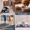 Furbedz Tapete para Perro, Absorbente, Atrapa Agua, Tierra y Suciedad