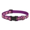LupinePet Originals 3/4" Rose Garden 15-25" Adjustable Collar for Large