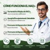 Windboss Nad Capsules 100 Cápsulas Suplemento