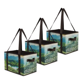 Earthwise Reusable Grocery Bags Set Shopping Box with Reinforced Bottom Heavy Duty Premium Collapsible Foldable with Long Handles Storage Boxes Eco Friendly Bins Cubes (Set of 3)