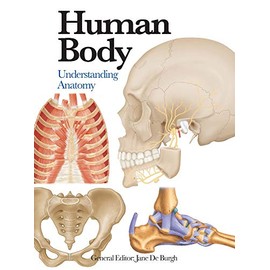 Human Body: Understanding Anatomy (Mini Encyclopedia)